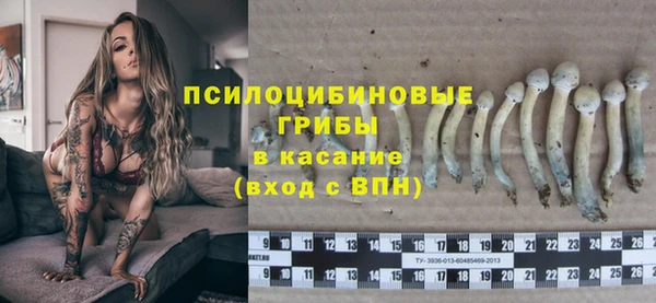 амф Балахна