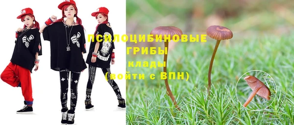амф Балахна