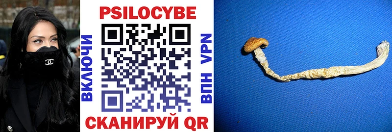Псилоцибиновые грибы мицелий Мурино