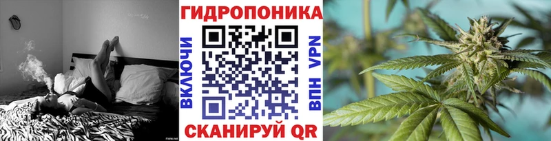 Канабис Bruce Banner  цены наркотик  Мурино 